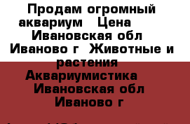 Продам огромный аквариум › Цена ­ 25 - Ивановская обл., Иваново г. Животные и растения » Аквариумистика   . Ивановская обл.,Иваново г.